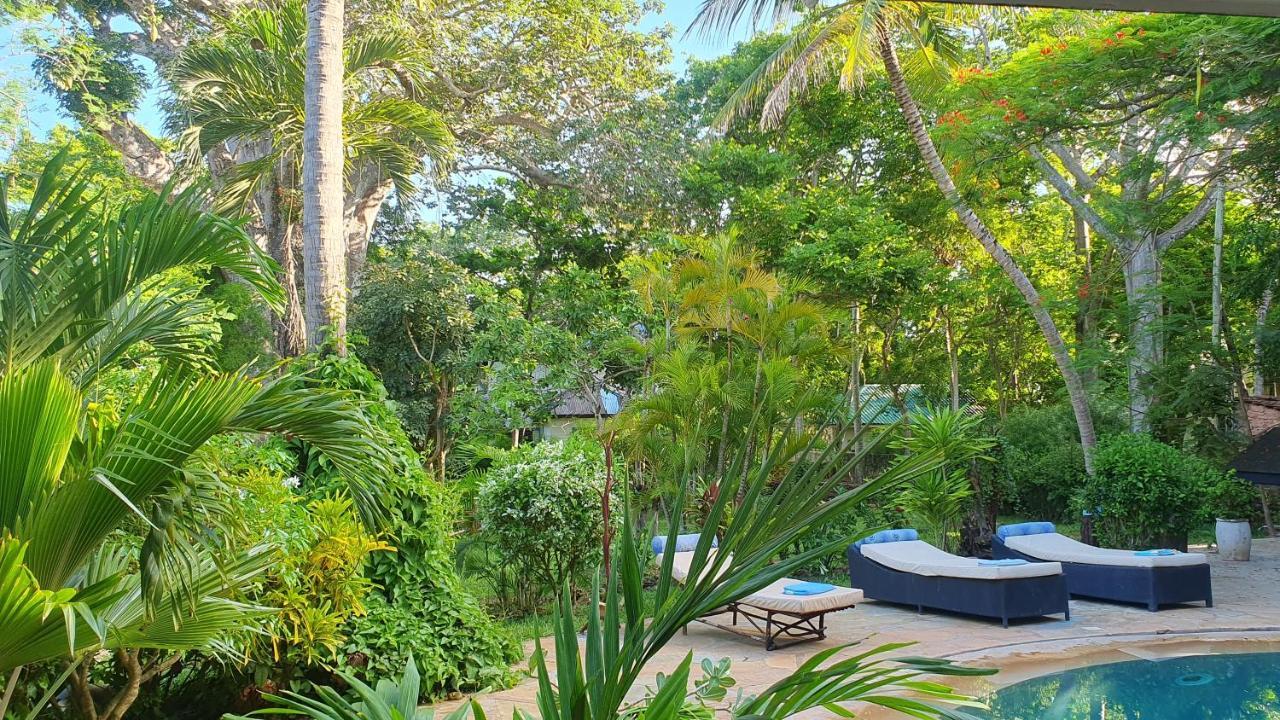 Mami Wata House Bed & Breakfast Kwale ภายนอก รูปภาพ