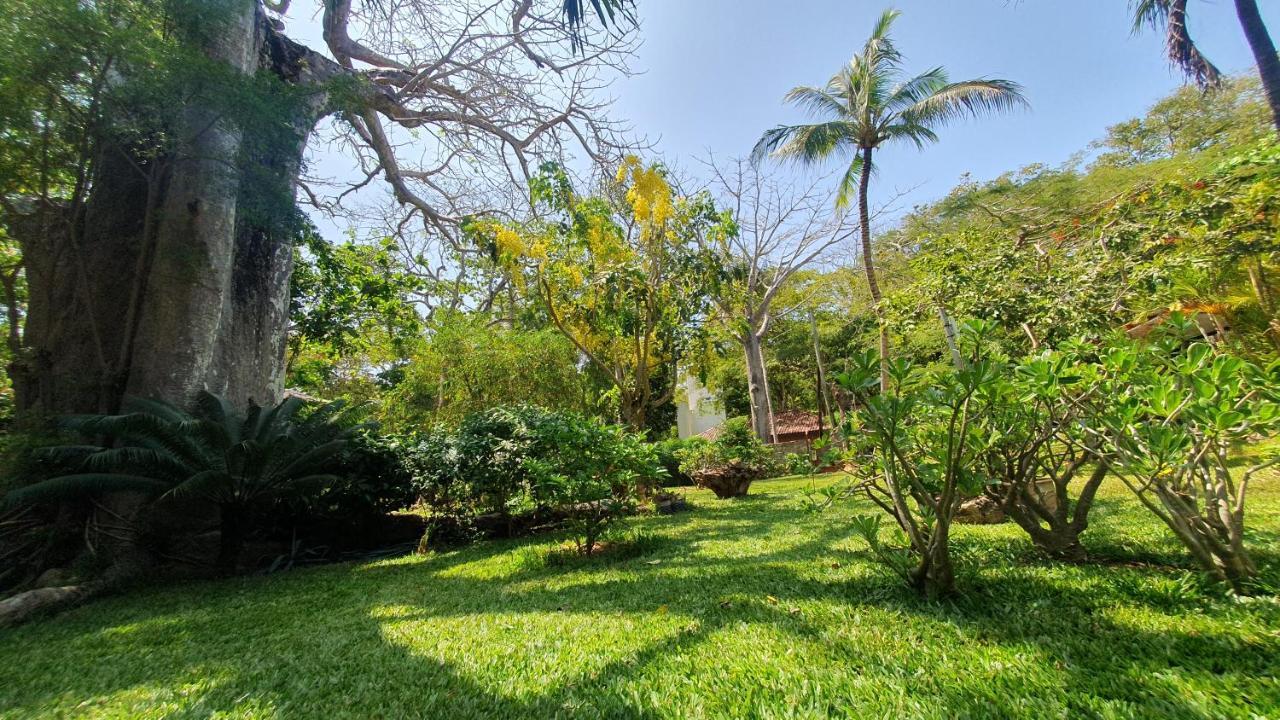 Mami Wata House Bed & Breakfast Kwale ภายนอก รูปภาพ