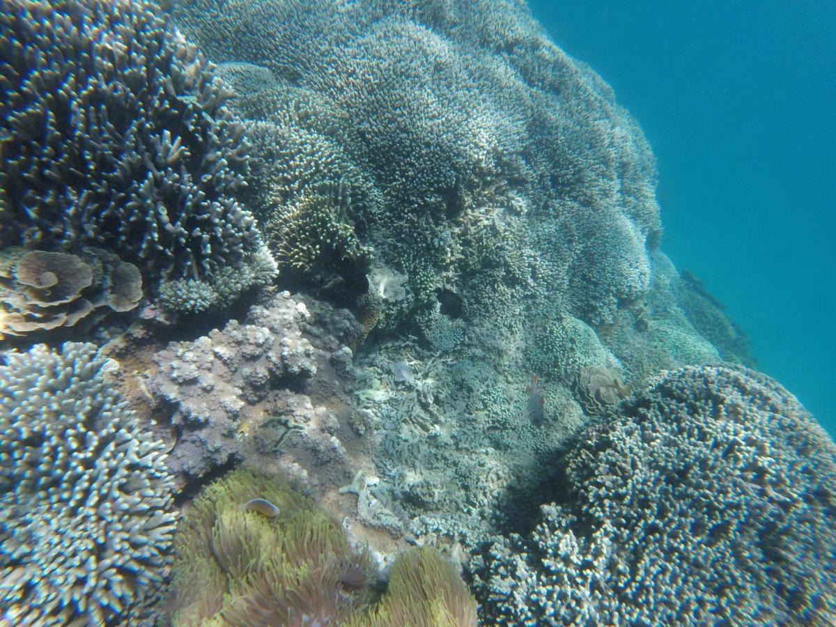 Mami Wata House Bed & Breakfast Kwale ภายนอก รูปภาพ